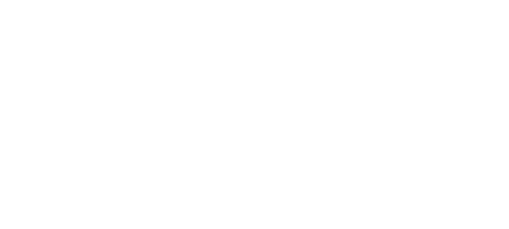 Anjos da Faxina